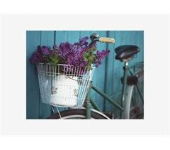 CANVAS BICYCLE FLOWERS MARCA MARCO MUEBLE