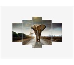 Canvas 5 piezas ELEPHANT KING marca CONFORAMA