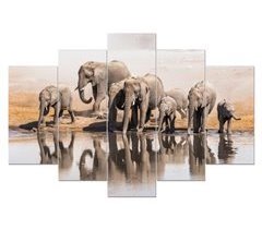 Canvas 5 piezas ELEPHANTS HERD marca CONFORAMA