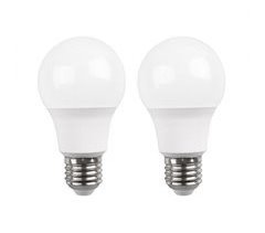 Pack 2 Bombillas LED Estándar Raydan Home