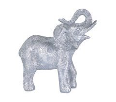 Elefante Presume De Casa Lineas
