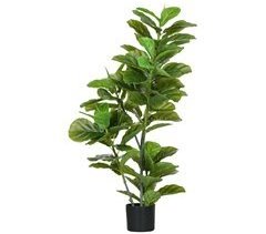 Planta Ficus Artificial HOMCOM 830-804V00GN