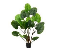 Planta artificial LICUALA marca EVERLANDS FLOWERS AND PLANTS