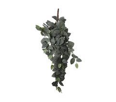 Planta artificial colgante FITTONIA marca MYCA