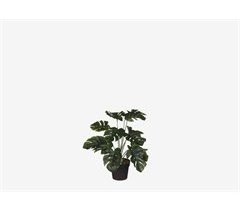 Planta artificial MONTSERA marca MYCA