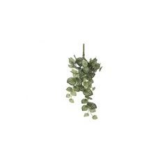 Planta artificial colgante PEPEROMIA marca MYCA