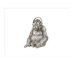 Figura Orangutan Acrilico Serie Orangutan Music