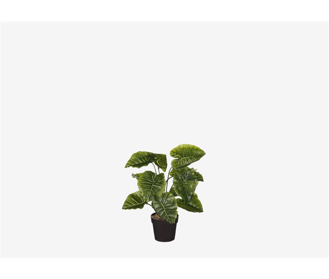 Planta artificial ALOCASIA marca MYCA Verde