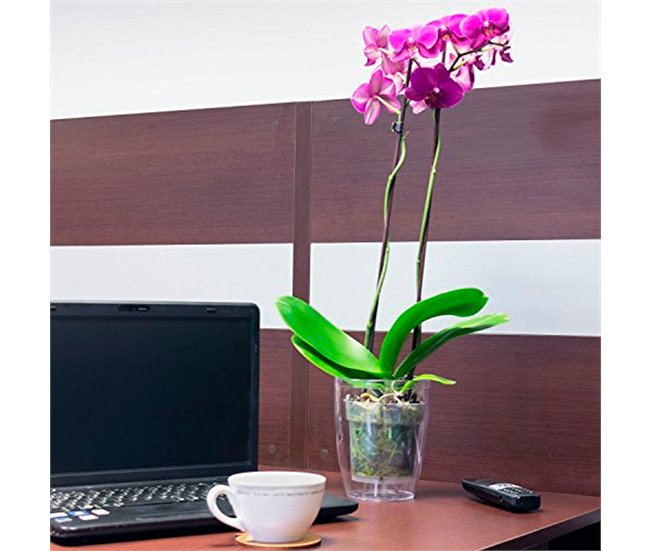 3x Macetero orquídea de plastico Coubi Orchid Transparente