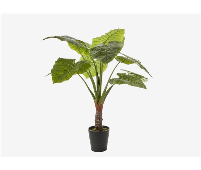 Planta artificial TARO marca MYCA Verde