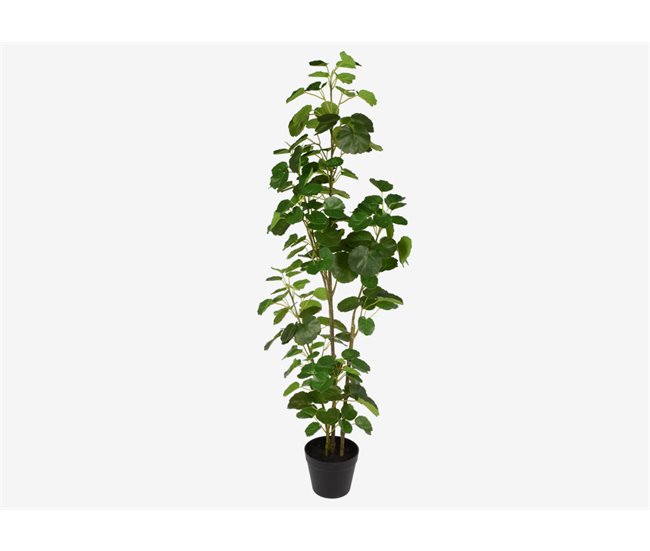 Planta artificial ARALIACEAE 112cm Verde