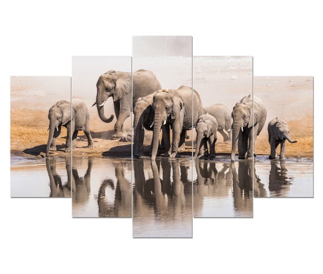 Canvas 5 piezas ELEPHANTS HERD marca CONFORAMA Multicolor