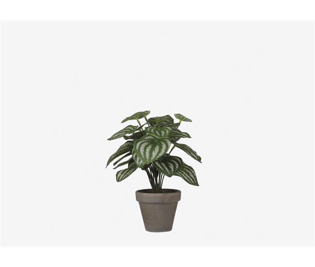 Planta artificial PEPEROMIA marca MYCA Verde