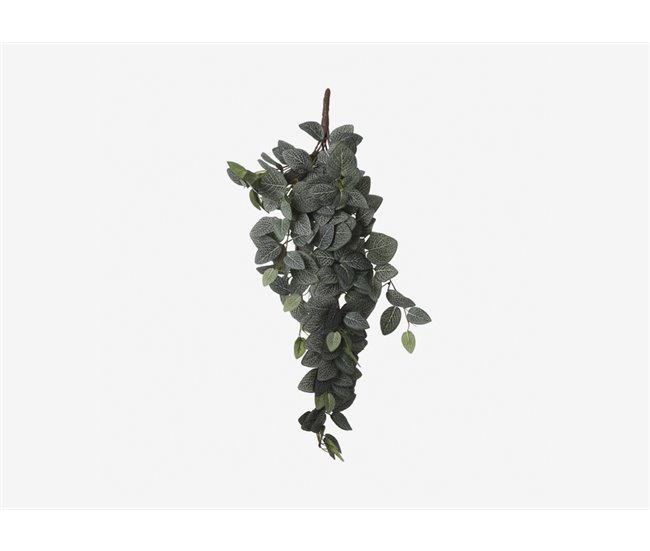 Planta artificial colgante FITTONIA marca MYCA Verde