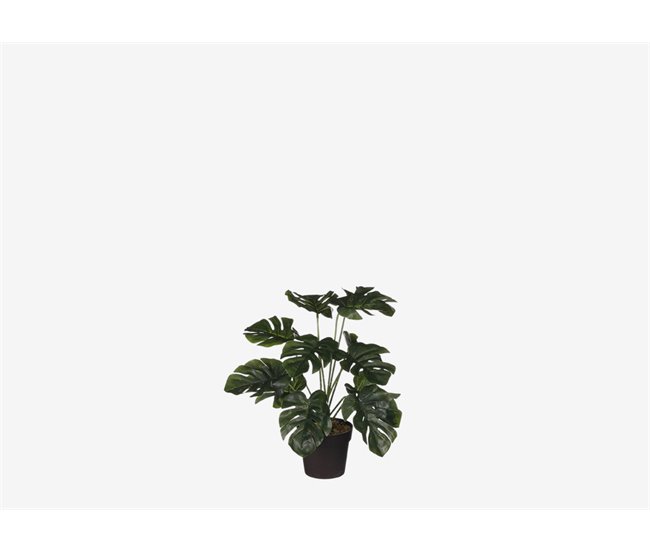 Planta artificial MONTSERA marca MYCA Verde