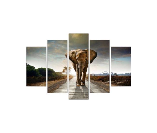 Canvas 5 piezas ELEPHANT KING marca CONFORAMA Multicolor