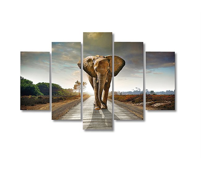 Canvas 5 piezas ELEPHANT KING marca CONFORAMA Multicolor