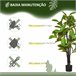 Planta Artificial HOMCOM 830-437 Verde