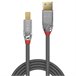 Cable USB A a USB B 36664 Negro