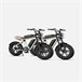 Bicicleta Eléctrica ENGWE M20 26AH - Motor 750W, Batería doble 1248WH Blanco