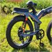 Bicicleta Eléctrica ENGWE X24 - Motor 1000W Batería 921.6WH 64KM Autonomía Gris