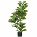 Planta Ficus Artificial HOMCOM 830-804V00GN Verde