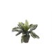 Planta artificial CYCAS marca MYCA Verde