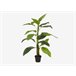 Planta artificial STRELITZIA marca MYCA Verde