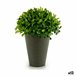 Planta Decorativa Verde