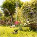 Aspersor de Riego 360º para Jardín Multicolor