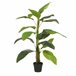 Planta artificial STRELITZIA marca MYCA Verde