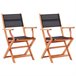 Set 2 sillas de jardín plegables de madera eucalipto Negro