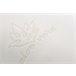Almohada Viscoelástica Copos Funda Aloe Vera 150x40 Blanco/ Gris