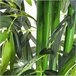 Bambú Artificial PE y Cemento Outsunny Verde