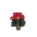 Planta artificial BEGONIA con maceta Rosa