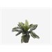Planta artificial CYCAS marca MYCA Verde