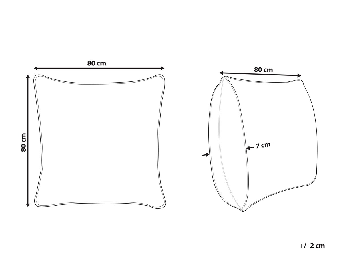 Conjunto de 2 almohadas de microfibra de perfil bajo 50 x 60 cm PELISTER 