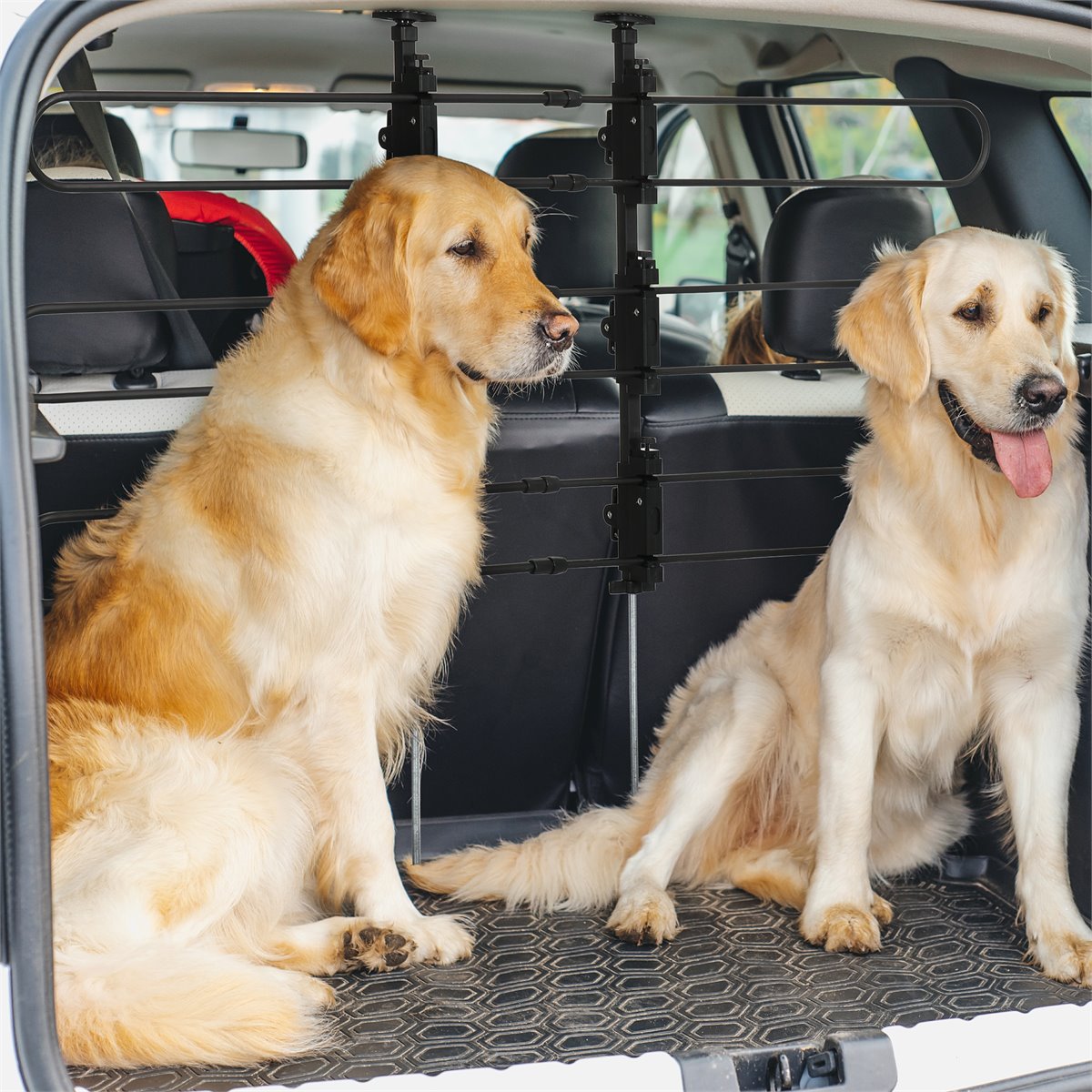 Separador metálico para perro y carga de coche