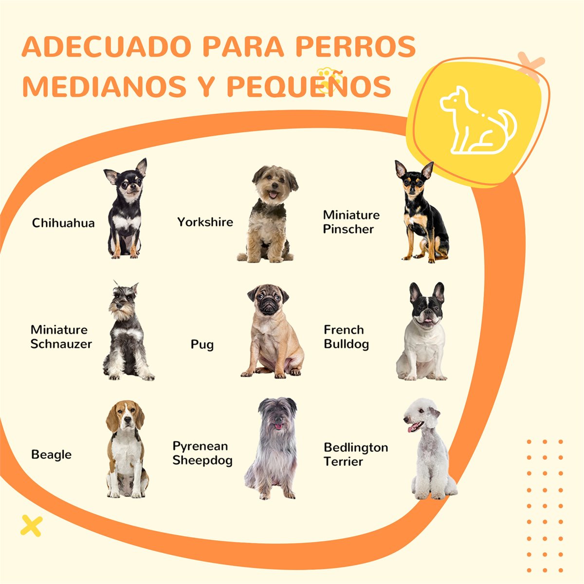Vallas para perros . Tipos, características y ofertas - Blog Mascotas