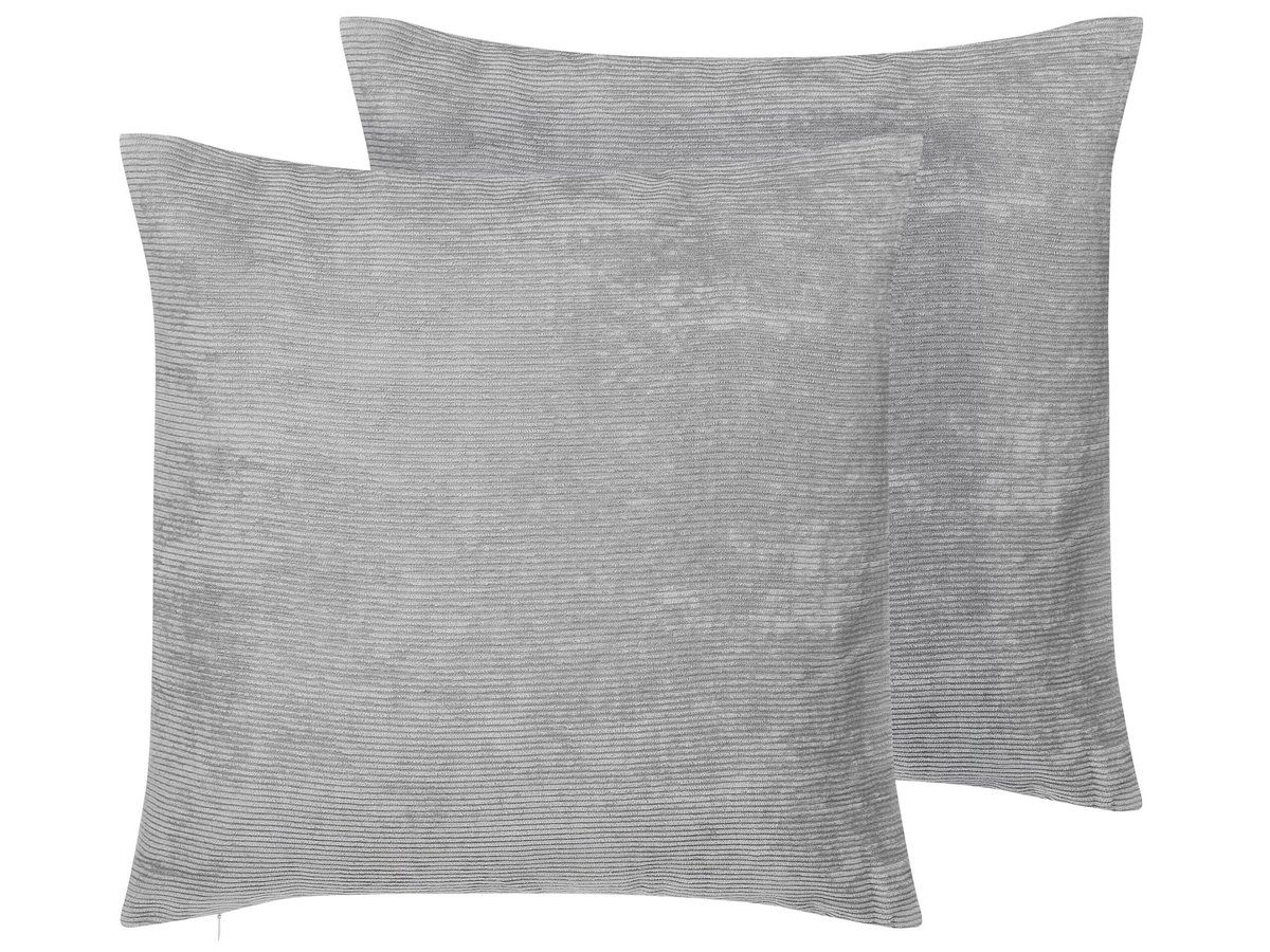 Conjunto de 2 cojines de algodón plateado 50 x 50 cm OUJDA