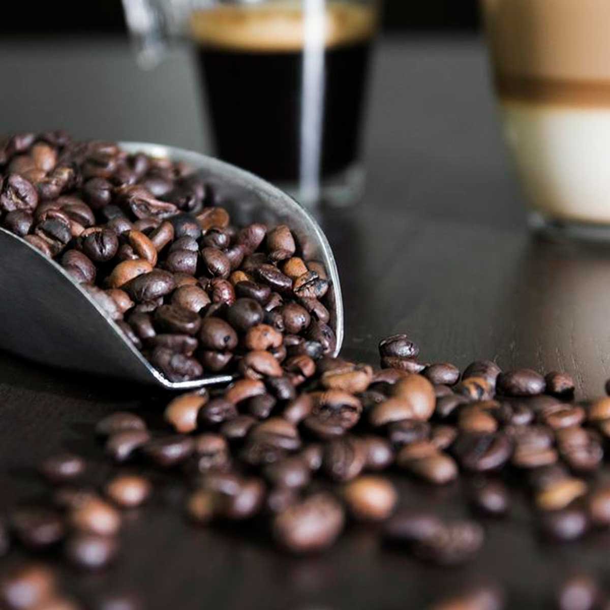 Espresso café espresso intensidad 11 estuche 36 cápsulas