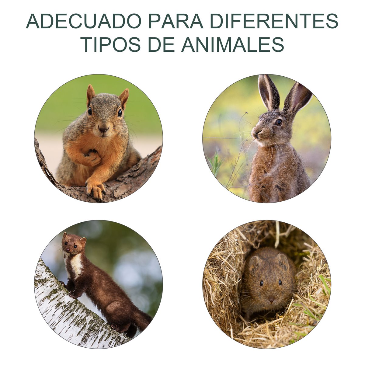 Outsunny Trampa para Animales Vivos Plegable 66x24x30,5 cm Jaula de Captura  de Alambre con Puerta y Asa para Conejos Gatos Plata